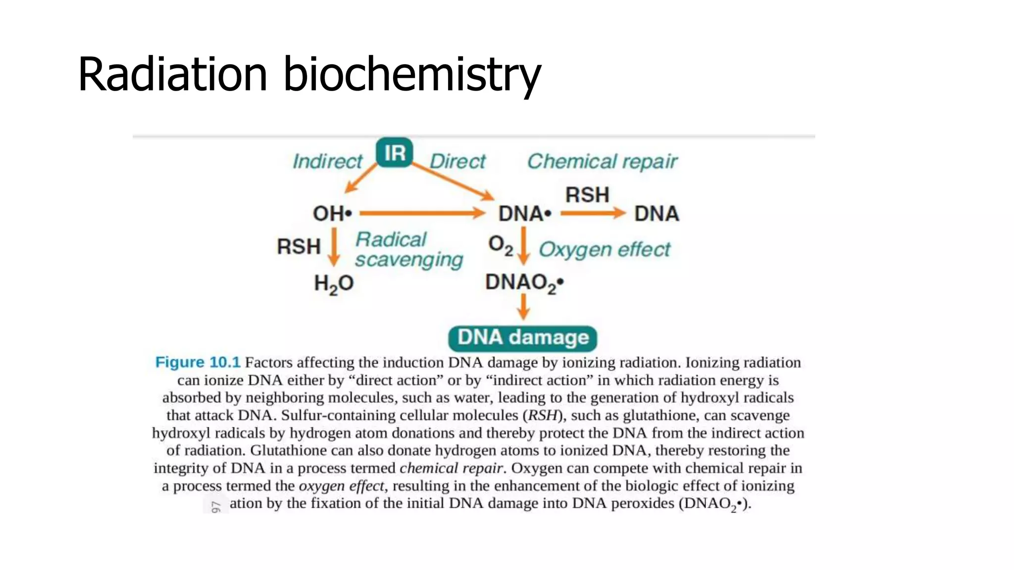Radiation carcinogenesis