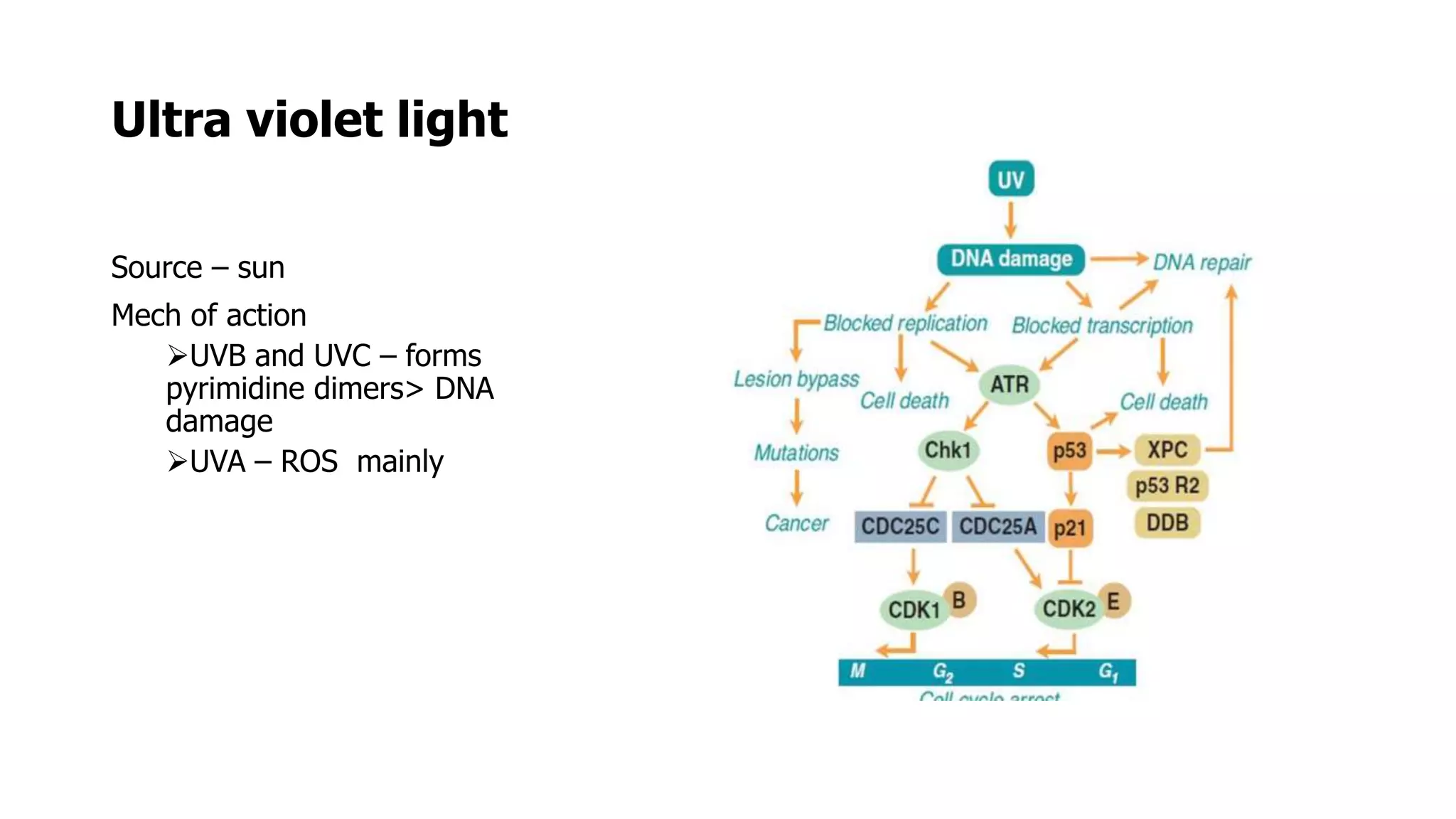 Radiation carcinogenesis