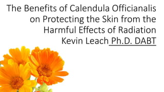 The Benefits of Calendula Officianalis
on Protecting the Skin from the
Harmful Effects of Radiation
Kevin Leach Ph.D. DABT
 