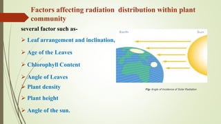 Factors affecting radiation distribution within plant
community
several factor such as-
 Leaf arrangement and inclination,
 Age of the Leaves
 Chlorophyll Content
 Angle of Leaves
 Plant density
 Plant height
 Angle of the sun.
Fig- Angle of Incidence of Solar Radiation
 