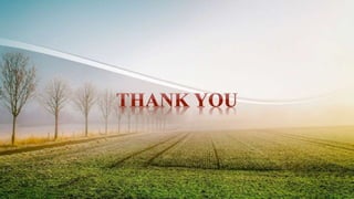 Radiation distribution and utilization by plant communities