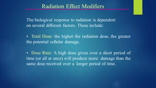 Radiation dose and risk.pdf--------------- | PDF
