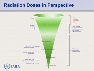 Radiation Doses in Perspective 