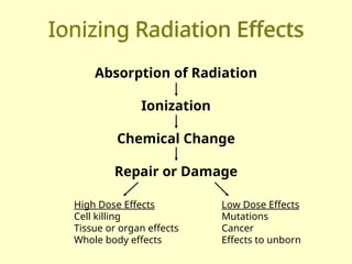 Overview Effect Sciencearray Comprehensive Overview of Biological Effects of Radiation on Humans | PPT