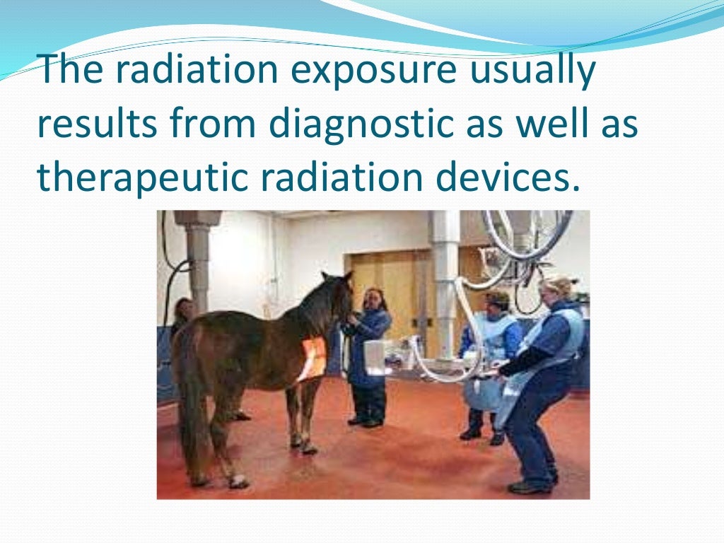 Radiation hazards and safety (veterinary)
