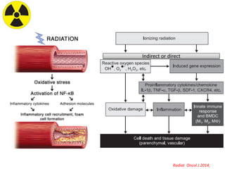 Radiation Injries Radiation injury and countermeasures | PPTX