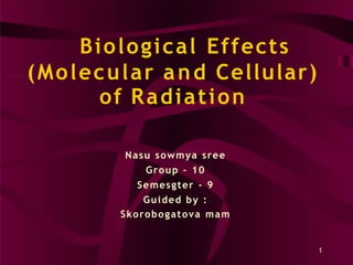 Biological Effects
(Molecular and Cellular)
of Radiation
Nasu sowmya sree
Group – 10
Semesgter - 9
Guided by :
Skorobogatova mam
1
 
