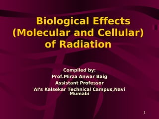 Biological Effects
(Molecular and Cellular)
of Radiation
Compiled by:
Prof.Mirza Anwar Baig
Assistant Professor
AI's Kalsekar Technical Campus,Navi
Mumabi
1
 
