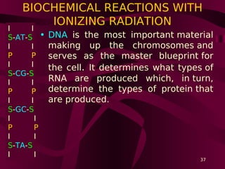 Biological effects of radiations | PDF