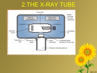 2.THE X-RAY TUBE
 