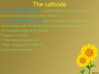 The cathode
• The tungsten filament, or coiled wire made of tungsten,
which produces electrons when heated.
• The molybdenum cup,which focuses the electrons into a
narrow beam and directs the beam across the tube toward
the tungsten target of the anode.
Tungsten is target ,
High atomic number-74
High melting point: 3380°C
Low vapor pressure:
 