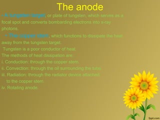 The anode
• A tungsten target, or plate of tungsten, which serves as a
focal spot and converts bombarding electrons into x-ray
photons.
• The copper stem, which functions to dissipate the heat
away from the tungsten target.
Tungsten is a poor conductor of heat.
The methods of heat dissipation are:
i. Conduction: through the copper stem.
ii. Convection: through the oil surrounding the tube.
iii. Radiation: through the radiator device attached
to the copper stem.
iv. Rotating anode.
 