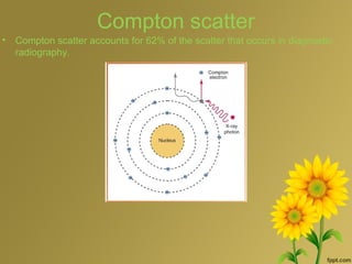 Compton scatter
• Compton scatter accounts for 62% of the scatter that occurs in diagnostic
radiography.
 