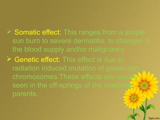  Somatic effect: This ranges from a simple
sun burn to severe dermatitis, to changes in
the blood supply and/or malignancy.
 Genetic effect: This effect is due to
radiation induced mutation of genes and
chromosomes.These effects are usually
seen in the off-springs of the irradiated
parents.
 