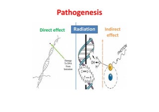 Pathogenesis
 