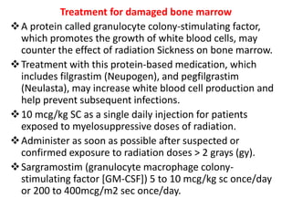 Treatment for damaged bone marrow
A protein called granulocyte colony-stimulating factor,
which promotes the growth of white blood cells, may
counter the effect of radiation Sickness on bone marrow.
Treatment with this protein-based medication, which
includes filgrastim (Neupogen), and pegfilgrastim
(Neulasta), may increase white blood cell production and
help prevent subsequent infections.
10 mcg/kg SC as a single daily injection for patients
exposed to myelosuppressive doses of radiation.
Administer as soon as possible after suspected or
confirmed exposure to radiation doses > 2 grays (gy).
Sargramostim (granulocyte macrophage colony-
stimulating factor [GM-CSF]) 5 to 10 mcg/kg sc once/day
or 200 to 400mcg/m2 sec once/day.
 