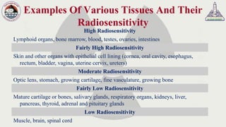 Radiosensitive Tissues Radiation protection course for radiologists Lecture 3 | PDF