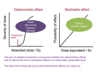 Jacoby Roth Deterministic Effects Radiation protection in nm | PPTX
