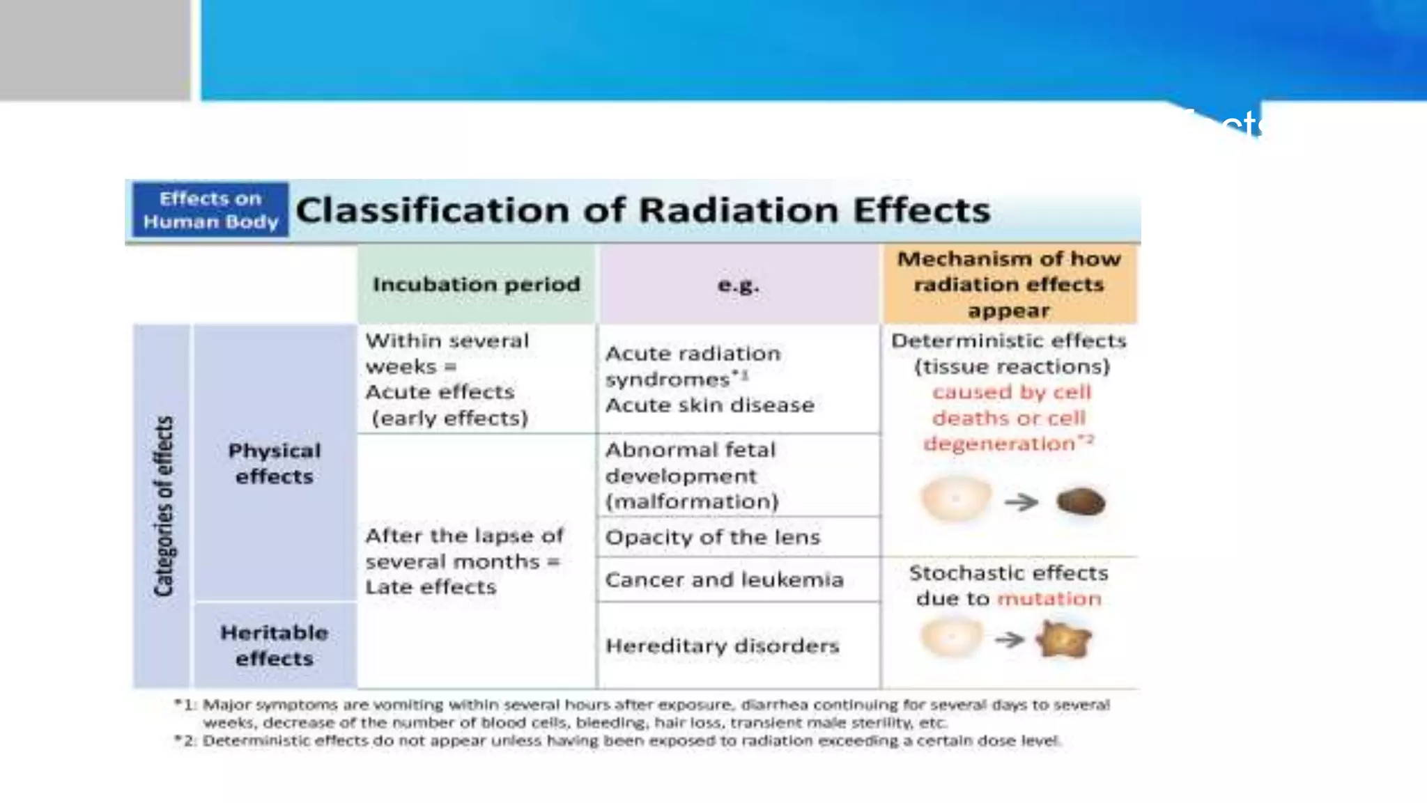 radiation protection and personnel monitoring in radiology.pptx ...