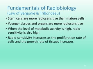 Fundamentals of Radiobiology
(Law of Bergonie & Tribondeau)
• Stem cells are more radiosensitive than mature cells
• Younger tissues and organs are more radiosensitive
• When the level of metabolic activity is high, radio-
sensitivity is also high
• Radio-sensitivity increases as the proliferation rate of
cells and the growth rate of tissues increases.
12
 