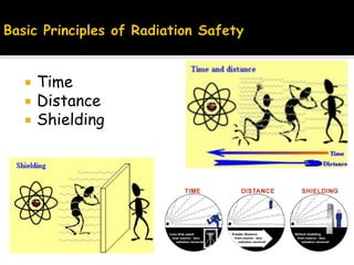 Radiation safety | PDF