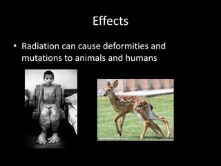 Effects
• Radiation can cause deformities and
  mutations to animals and humans
 