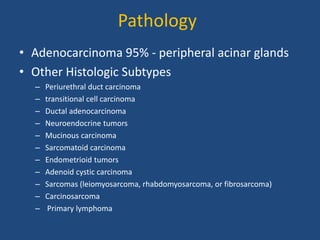 Pathology 
• Adenocarcinoma 95% - peripheral acinar glands 
• Other Histologic Subtypes 
– Periurethral duct carcinoma 
– transitional cell carcinoma 
– Ductal adenocarcinoma 
– Neuroendocrine tumors 
– Mucinous carcinoma 
– Sarcomatoid carcinoma 
– Endometrioid tumors 
– Adenoid cystic carcinoma 
– Sarcomas (leiomyosarcoma, rhabdomyosarcoma, or fibrosarcoma) 
– Carcinosarcoma 
– Primary lymphoma 
 