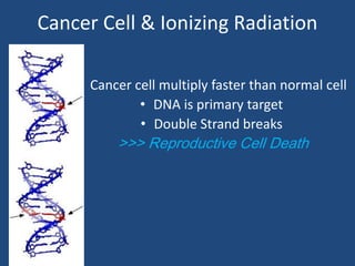 Cancer Cell & Ionizing Radiation 
• Cancer cell multiply faster than normal cell 
• DNA is primary target 
• Double Strand breaks 
>>> Reproductive Cell Death 
 