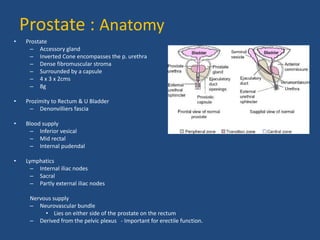 Prostate : Anatomy 
• Prostate 
– Accessory gland 
– Inverted Cone encompasses the p. urethra 
– Dense fibromuscular stroma 
– Surrounded by a capsule 
– 4 x 3 x 2cms 
– 8g 
• Prozimity to Rectum & U Bladder 
– Denonvilliers fascia 
• Blood supply 
– Inferior vesical 
– Mid rectal 
– Internal pudendal 
• Lymphatics 
– Internal iliac nodes 
– Sacral 
– Partly external iliac nodes 
Nervous supply 
– Neurovascular bundle 
• Lies on either side of the prostate on the rectum 
– Derived from the pelvic plexus - Important for erectile function. 
 