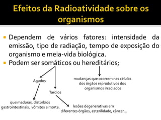  Dependem de vários fatores: intensidade da
emissão, tipo de radiação, tempo de exposição do
organismo e meia-vida biológica.
 Podem ser somáticos ou hereditários;
Agudos
Tardios
queimaduras, distúrbios
gastrointestinais, vômitos e morte. lesões degenerativas em
diferentes órgãos, esterilidade, câncer...
mudanças que ocorrem nas células
dos órgãos reprodutivos dos
organismos irradiados
 