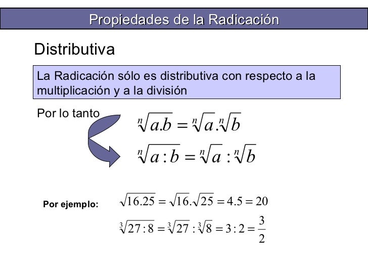 Resultado de imagen para raiz distributiva