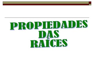 PROPIEDADES  DAS RAÍCES 
