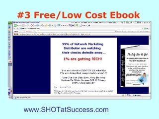 #3   Free/Low Cost Ebook   www.SHOTatSuccess.com 
