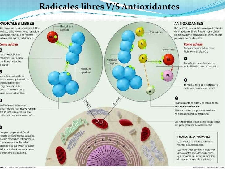 Radicales