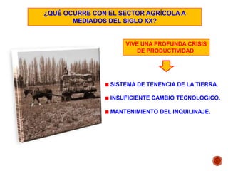 ¿QUÉ OCURRE CON EL SECTOR AGRÍCOLA A
MEDIADOS DEL SIGLO XX?
VIVE UNA PROFUNDA CRISIS
DE PRODUCTIVIDAD
SISTEMA DE TENENCIA DE LA TIERRA.
INSUFICIENTE CAMBIO TECNOLÓGICO.
MANTENIMIENTO DEL INQUILINAJE.
 