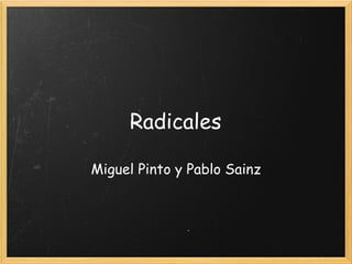 Radicales Miguel Pinto y Pablo Sainz 