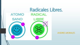 Radicales Libres.
ANDRES MORALES
 
