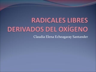 Claudia Elena Echeagaray Santander
 
