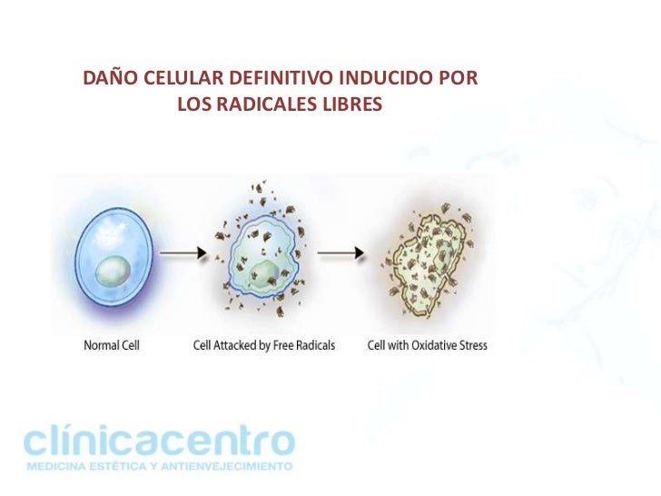 Radicales libres y estrés oxidativo como causa de envejecimiento prem…