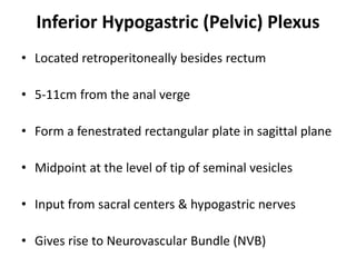 Inferior Hypogastric (Pelvic) Plexus
• Located retroperitoneally besides rectum
• 5-11cm from the anal verge
• Form a fenestrated rectangular plate in sagittal plane
• Midpoint at the level of tip of seminal vesicles
• Input from sacral centers & hypogastric nerves
• Gives rise to Neurovascular Bundle (NVB)
 