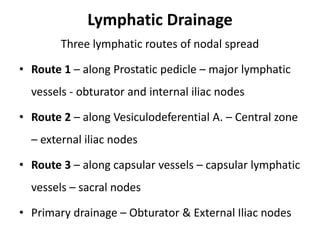 Lymphatic Drainage
Three lymphatic routes of nodal spread
• Route 1 – along Prostatic pedicle – major lymphatic
vessels - obturator and internal iliac nodes
• Route 2 – along Vesiculodeferential A. – Central zone
– external iliac nodes
• Route 3 – along capsular vessels – capsular lymphatic
vessels – sacral nodes
• Primary drainage – Obturator & External Iliac nodes
 