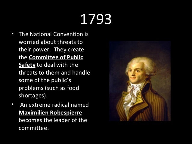 Radicals and the reign of terror