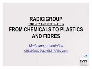 RadiciGroup Chemicals
 
