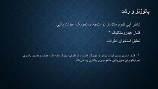 پاتوژنز و رشد 
تکثیر اپی تلیوم مالاسز در نتیجه ی تحریک عفونت پالپی 
فشار هیدروستاتیک * 
تحلیل استخوان اطراف 
* فشار اسمزی درون کیست بیشتر از مویرگ هاست و از طرفی مویرگ هابه علت عفونت وحضور یکسری 
ایمونوگلوبولین هاوپروتئین ها نفوذپذیری بیشتری پیدا می کنند. 
 