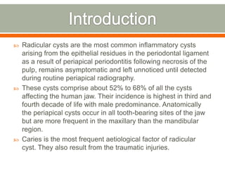  Radicular cysts are the most common inflammatory cysts
arising from the epithelial residues in the periodontal ligament
as a result of periapical periodontitis following necrosis of the
pulp, remains asymptomatic and left unnoticed until detected
during routine periapical radiography.
 These cysts comprise about 52% to 68% of all the cysts
affecting the human jaw. Their incidence is highest in third and
fourth decade of life with male predominance. Anatomically
the periapical cysts occur in all tooth-bearing sites of the jaw
but are more frequent in the maxillary than the mandibular
region.
 Caries is the most frequent aetiological factor of radicular
cyst. They also result from the traumatic injuries.
 