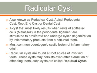  Also known as Periapical Cyst, Apical Periodontal
Cyst, Root End Cyst or Dental Cyst
 A cyst that most likely results when rests of epithelial
cells (Malassez) in the periodontal ligament are
stimulated to proliferate and undergo cystic degeneration
by inflammatory products from a non-vital tooth.
 Most common odontogenic cystic lesion of inflammatory
origin.
 Radicular cysts are found at root apices of involved
teeth. These cysts may persists even after extraction of
offending tooth, such cysts are called Residual Cysts.
 