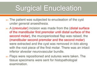  The patient was subjected to enucleation of the cyst
under general anaesthesia.
 A (crevicular) incision was made from the (distal surface
of the mandibular first premolar until distal surface of the
second molar), the mucoperiosteal flap was raised, the
(mandibular second premolar and the second molar)
were extracted and the cyst was removed in toto along
with the root piece of the first molar. There was an intact
inferior alveolar neurovascular bundle.
 Flaps were repositioned and sutures were taken. The
tissue specimens were sent for histopathologial
examination.
 