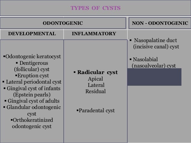 Radicular cyst (maryam arbab)
