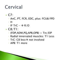 C7:
◦ AnC, PT, FCR, EDC, plus: FCU& FPD
◦ H
◦ IF TrC -  R/O
 C8/T1:
◦ (FDP,ADM,PQ,APB,OPB) + Trc/EIP
◦ Radial innervated muscles: T1 Less
◦ TrC: C8 less not involved
◦ APB: T1 more
 