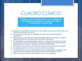 CUADRO CLÍNICO
            Los síntomas que se experimentan como resultado de
              radiculopatía se encuentra a lo largo de la misma
                       trayectoria que el nervio viaja.




   El dolor, que puede comenzar en el cuello y viajar hasta el hombro, de
    ahí al brazo hasta la mano.
   Deterioro del valor de los reflejos normales en las extremidades
    superiores
   Parestesia que puede ser experimentada desde el cuello a la mano,
    dependiendo de la distribución del nervio afectado.
   La debilidad muscular puede ocurrir en cualquier músculo que está
    inervado por el nervio alterado. Presión a largo plazo sobre el nervio
    puede producir atrofia de ese músculo en particular.
   Espasmos musculares y cambios de postura en respuesta a la lesión.
   La pérdida de la curvatura cervical normal o lordosis.
   La tendencia a querer mantener el brazo doblado por el codo o por
    encima de la cabeza para mantener la tensión sobre el nervio.
   Dolor con el exceso de actividad y alivio con el reposo.
 
